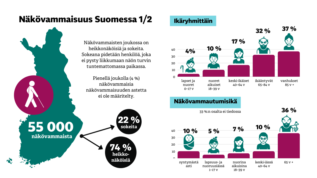 Infograafi, jossa tietoja näkövammaisuudesta Suomessa.